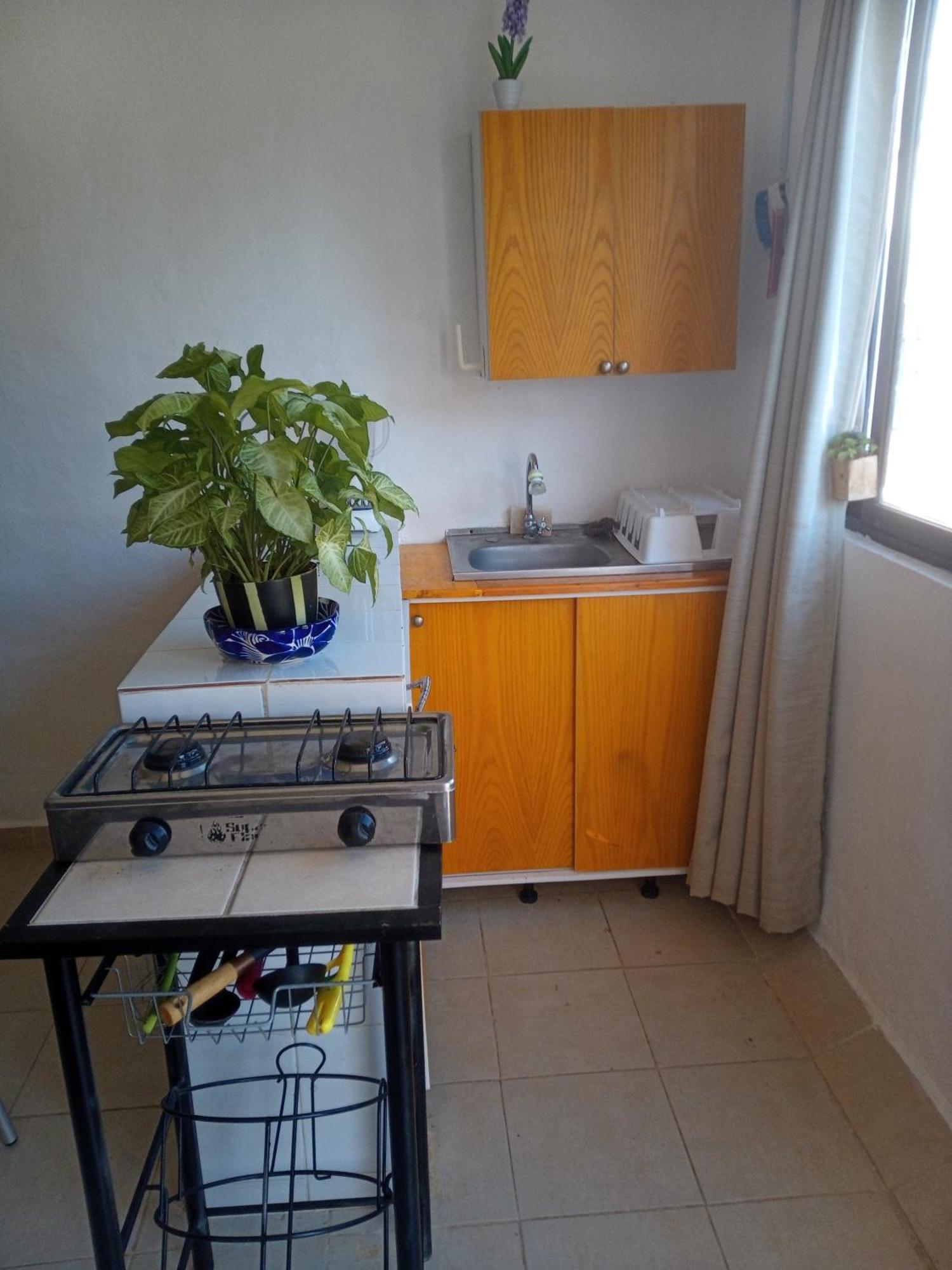 Estudio Quetzales Cancun Luaran gambar
